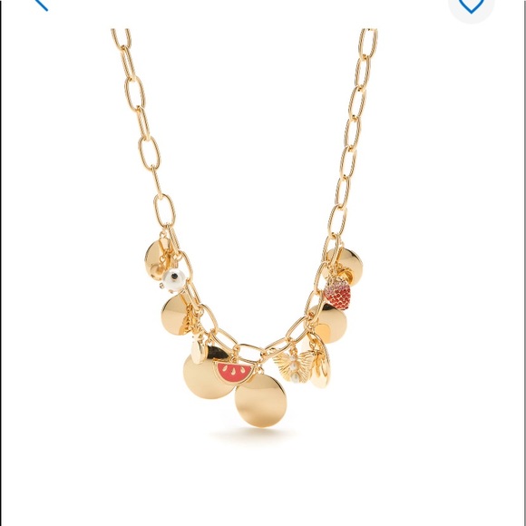 crown & ivy Jewelry - CROWN & IVY Statement Charm & Disc Necklace